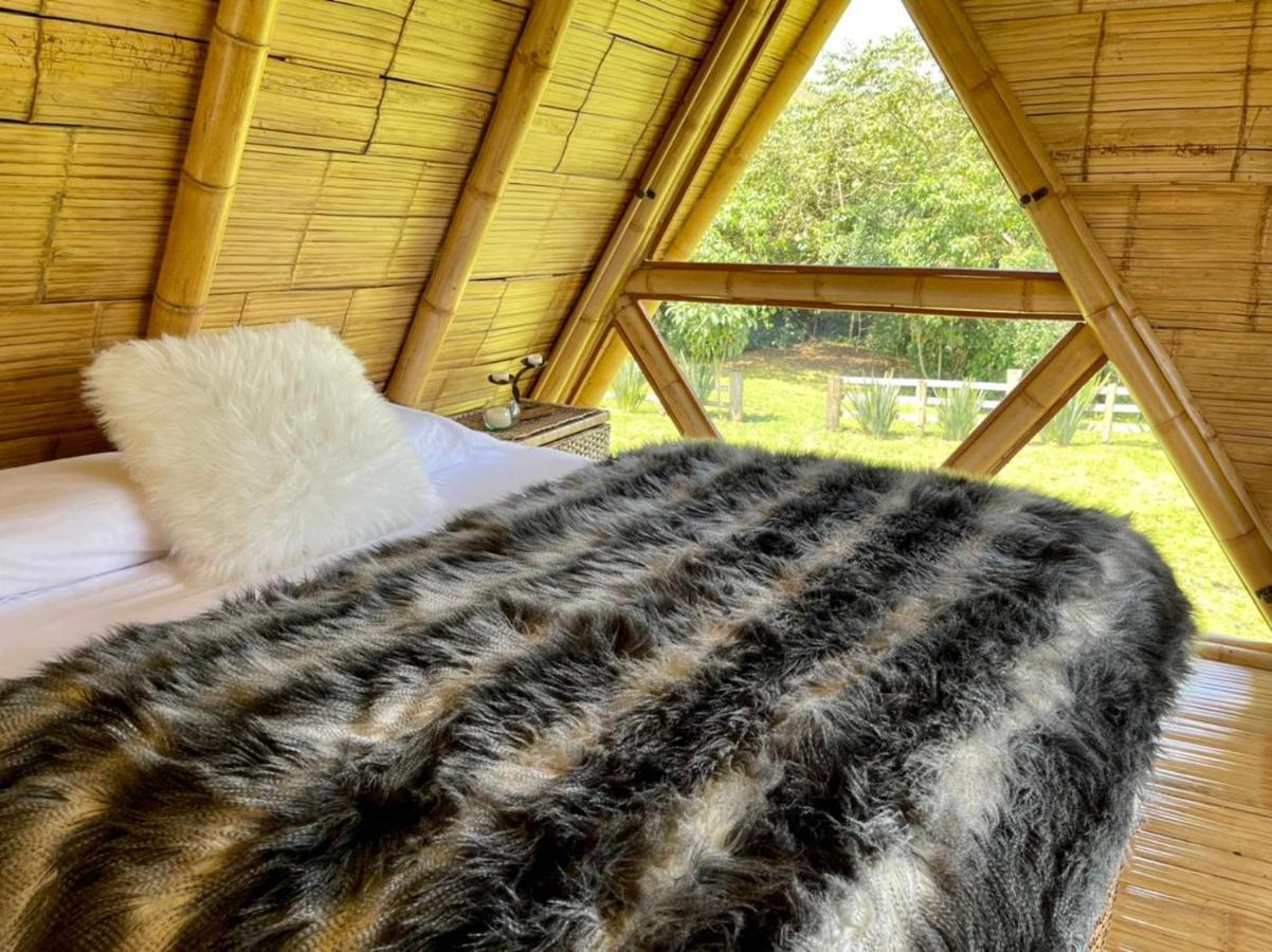 Glamping La Herradura Santa Rosa de Cabal Eksteriør bilde