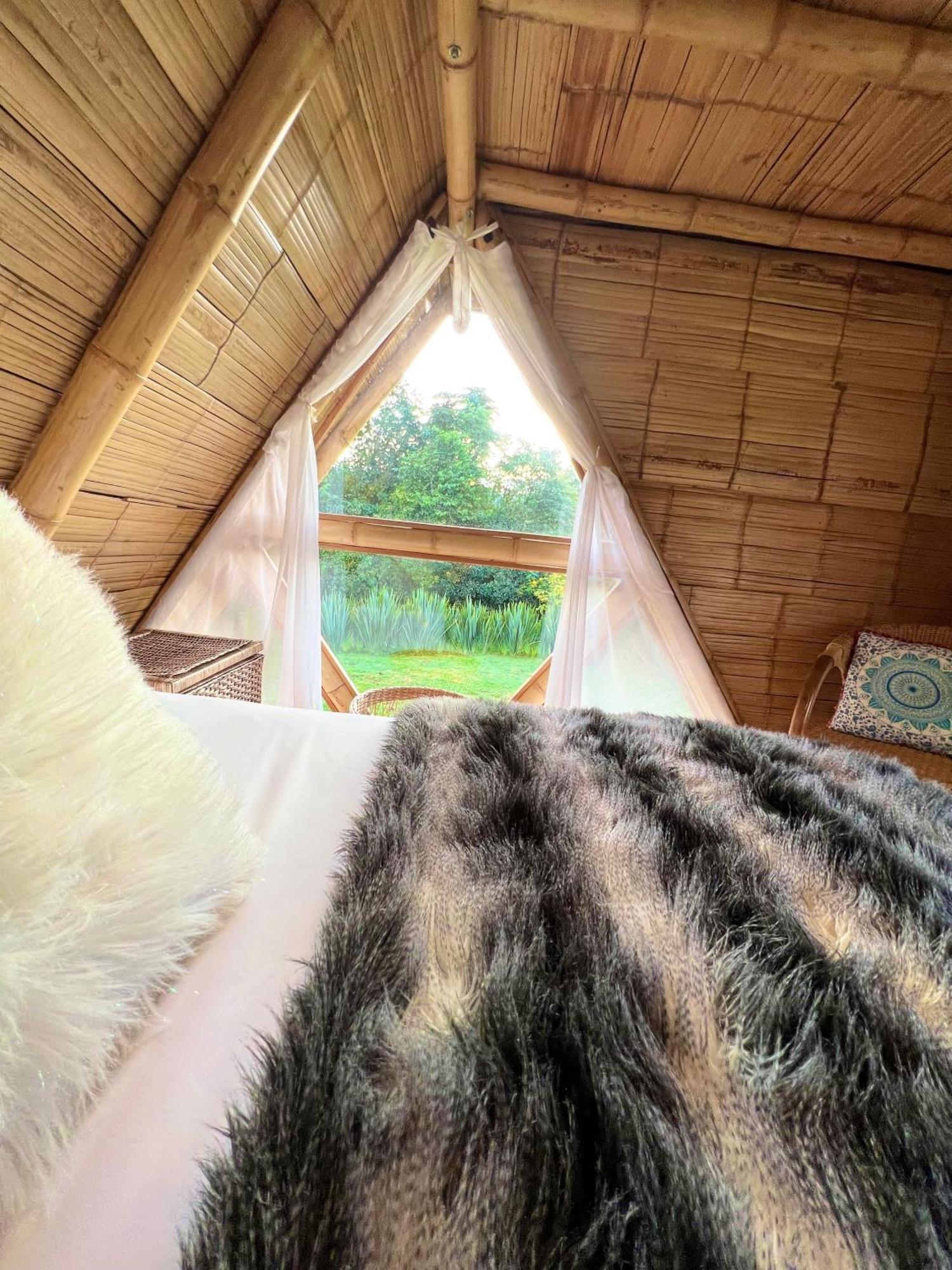 Glamping La Herradura Santa Rosa de Cabal Eksteriør bilde